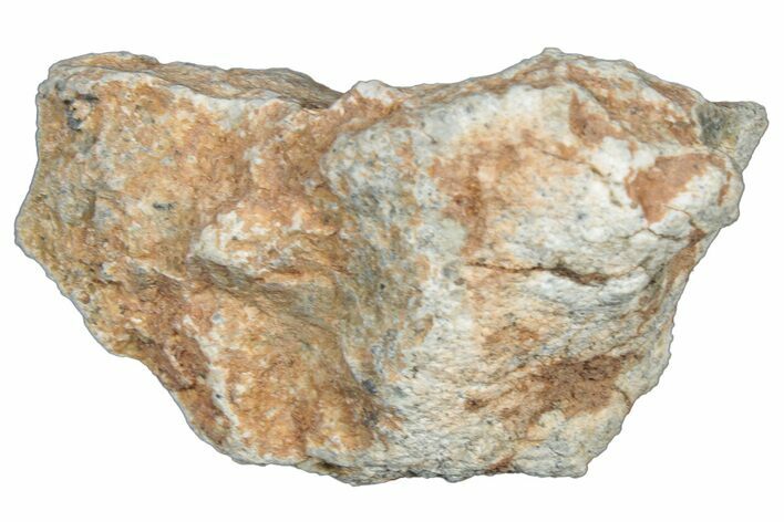 Lunar Meteorite Fragment ( g) - NWA #304059